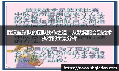 熊猫体育APP