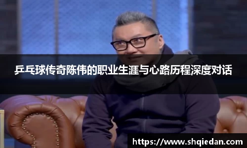 乒乓球传奇陈伟的职业生涯与心路历程深度对话