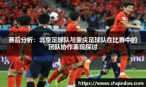 熊猫体育官网