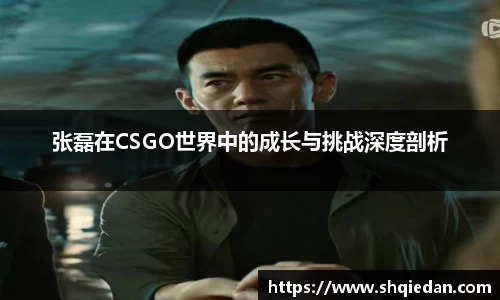 张磊在CSGO世界中的成长与挑战深度剖析