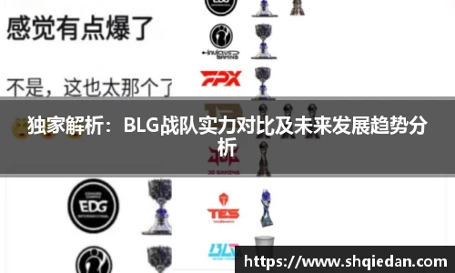 独家解析：BLG战队实力对比及未来发展趋势分析